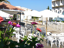 The Pool Bar